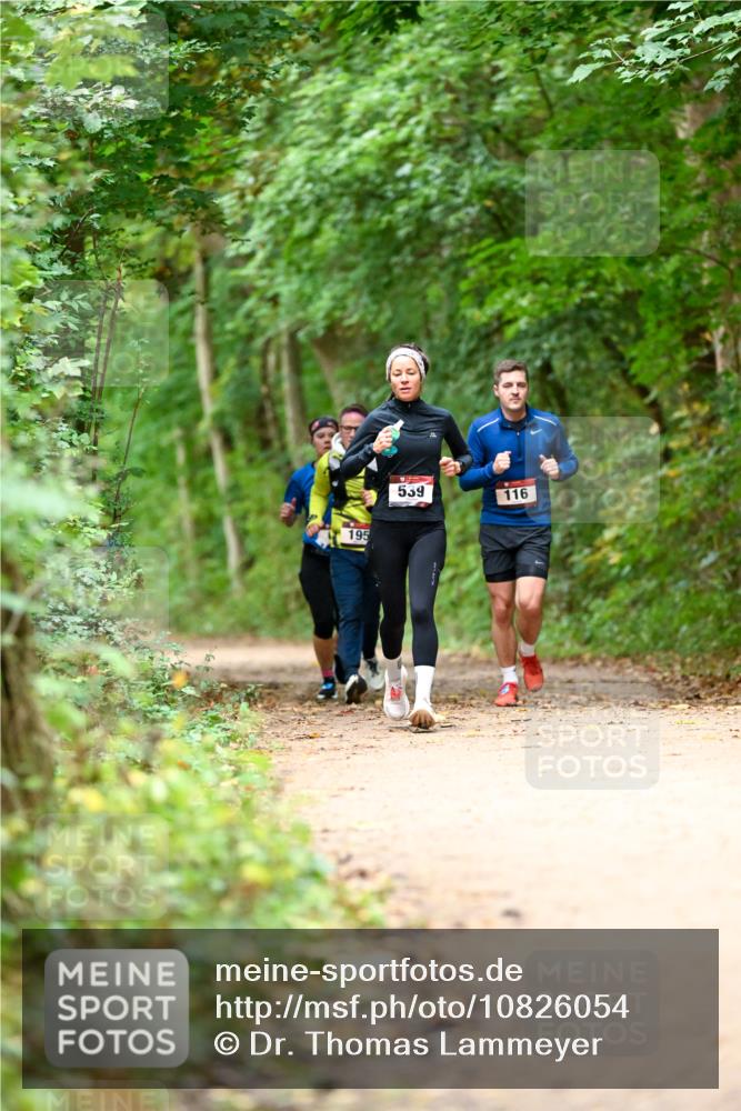 11.10.2026 - Bramfelder Halbmarathon 2026 Dr. Thomas Lammeyer http://msf.ph/oto/10826054 11.10.2026 10:53:21 Laufen 195, 559, 116 meine-sportfotos.de