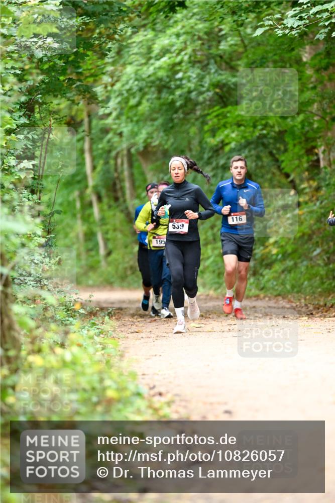 11.10.2026 - Bramfelder Halbmarathon 2026 Dr. Thomas Lammeyer http://msf.ph/oto/10826057 11.10.2026 10:53:21 Laufen 195, 539, 116 meine-sportfotos.de
