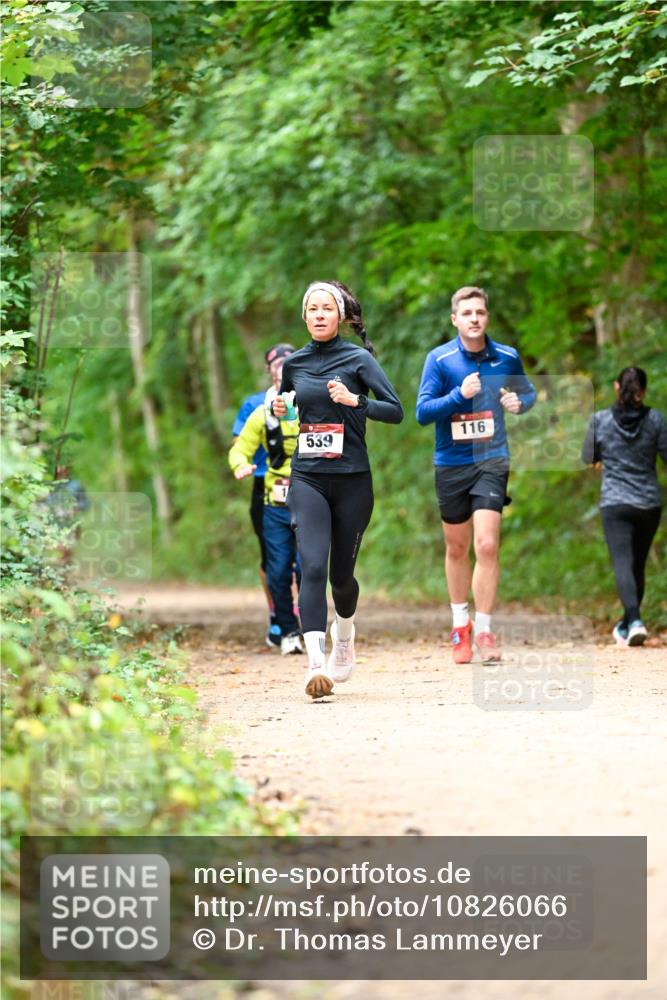 11.10.2026 - Bramfelder Halbmarathon 2026 Dr. Thomas Lammeyer http://msf.ph/oto/10826066 11.10.2026 10:53:22 Laufen 539, 116 meine-sportfotos.de