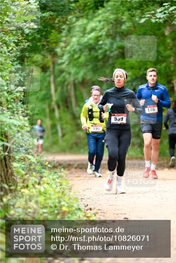 11.10.2026 - Bramfelder Halbmarathon 2026 Dr. Thomas Lammeyer http://msf.ph/oto/10826071 11.10.2026 10:53:23 Laufen 195, 539, 116 meine-sportfotos.de