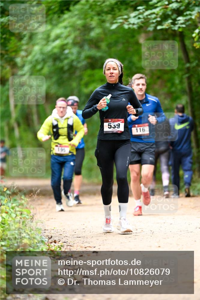 11.10.2026 - Bramfelder Halbmarathon 2026 Dr. Thomas Lammeyer http://msf.ph/oto/10826079 11.10.2026 10:53:24 Laufen 195, 539, 116 meine-sportfotos.de