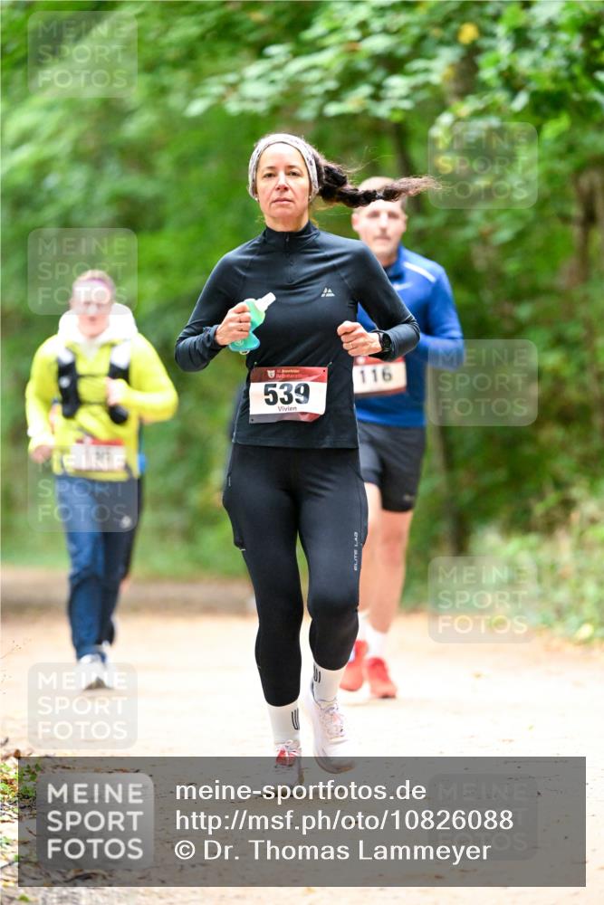 11.10.2026 - Bramfelder Halbmarathon 2026 Dr. Thomas Lammeyer http://msf.ph/oto/10826088 11.10.2026 10:53:26 Laufen 539, 116 meine-sportfotos.de