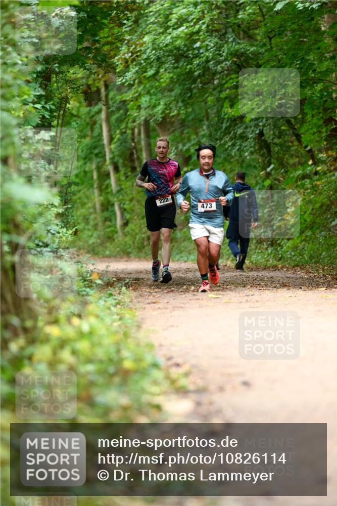 11.10.2026 - Bramfelder Halbmarathon 2026 Dr. Thomas Lammeyer http://msf.ph/oto/10826114 11.10.2026 10:53:35 Laufen 222, 473 meine-sportfotos.de
