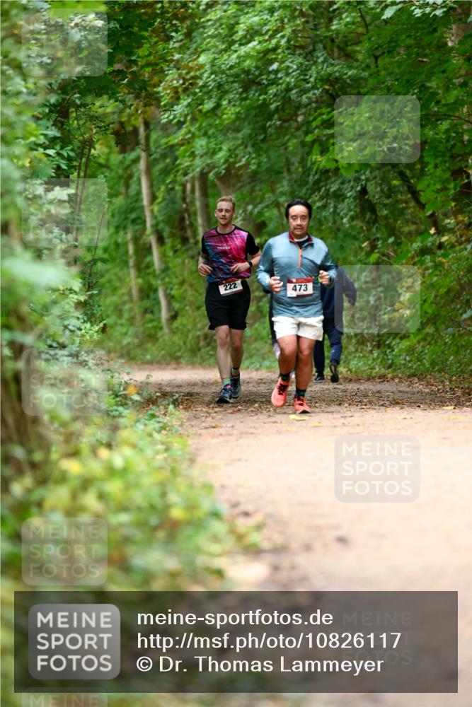11.10.2026 - Bramfelder Halbmarathon 2026 Dr. Thomas Lammeyer http://msf.ph/oto/10826117 11.10.2026 10:53:35 Laufen 222, 473 meine-sportfotos.de