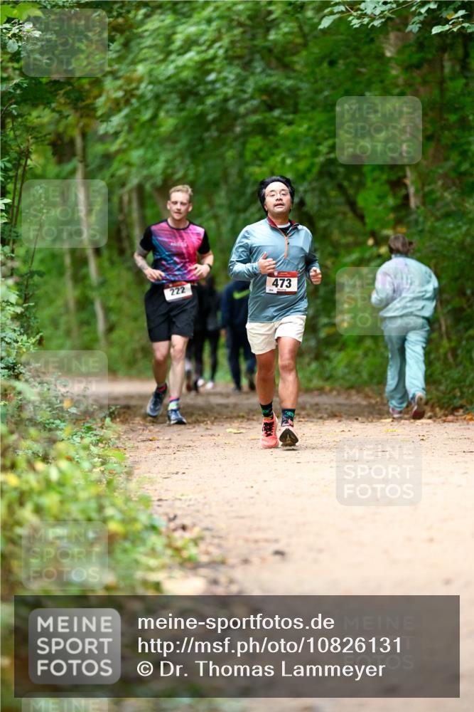 11.10.2026 - Bramfelder Halbmarathon 2026 Dr. Thomas Lammeyer http://msf.ph/oto/10826131 11.10.2026 10:53:37 Laufen 222, 473 meine-sportfotos.de