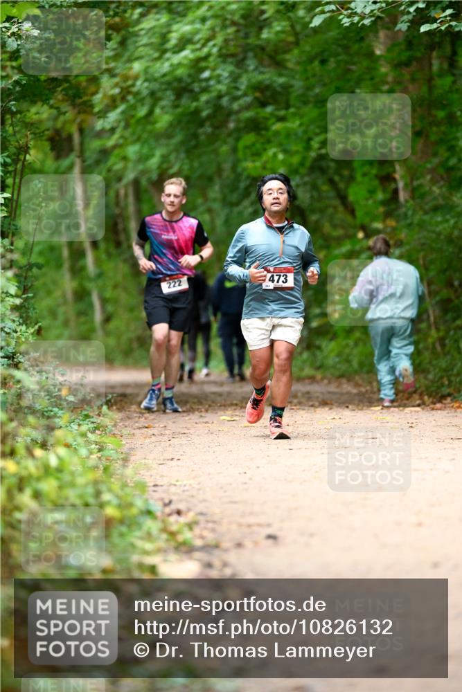 11.10.2026 - Bramfelder Halbmarathon 2026 Dr. Thomas Lammeyer http://msf.ph/oto/10826132 11.10.2026 10:53:37 Laufen 222, 473, 234 meine-sportfotos.de