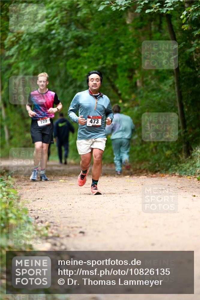 11.10.2026 - Bramfelder Halbmarathon 2026 Dr. Thomas Lammeyer http://msf.ph/oto/10826135 11.10.2026 10:53:38 Laufen 222, 473, 284 meine-sportfotos.de