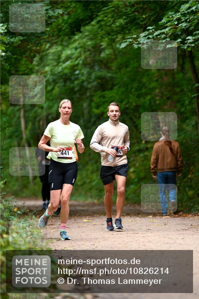 11.10.2026 - Bramfelder Halbmarathon 2026 Dr. Thomas Lammeyer http://msf.ph/oto/10826214 11.10.2026 10:54:10 Laufen 441 meine-sportfotos.de