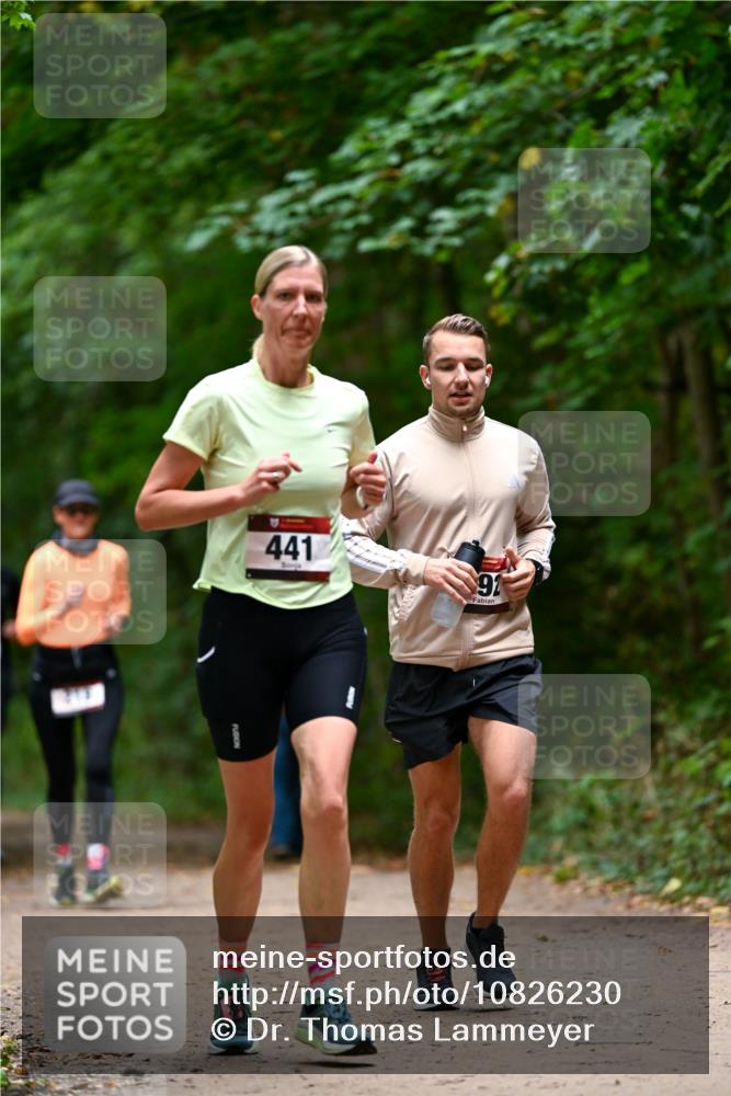 11.10.2026 - Bramfelder Halbmarathon 2026 Dr. Thomas Lammeyer http://msf.ph/oto/10826230 11.10.2026 10:54:12 Laufen 441, 91 meine-sportfotos.de