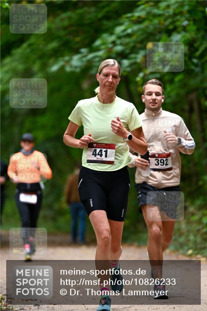 11.10.2026 - Bramfelder Halbmarathon 2026 Dr. Thomas Lammeyer http://msf.ph/oto/10826233 11.10.2026 10:54:13 Laufen 35, 441, 392 meine-sportfotos.de