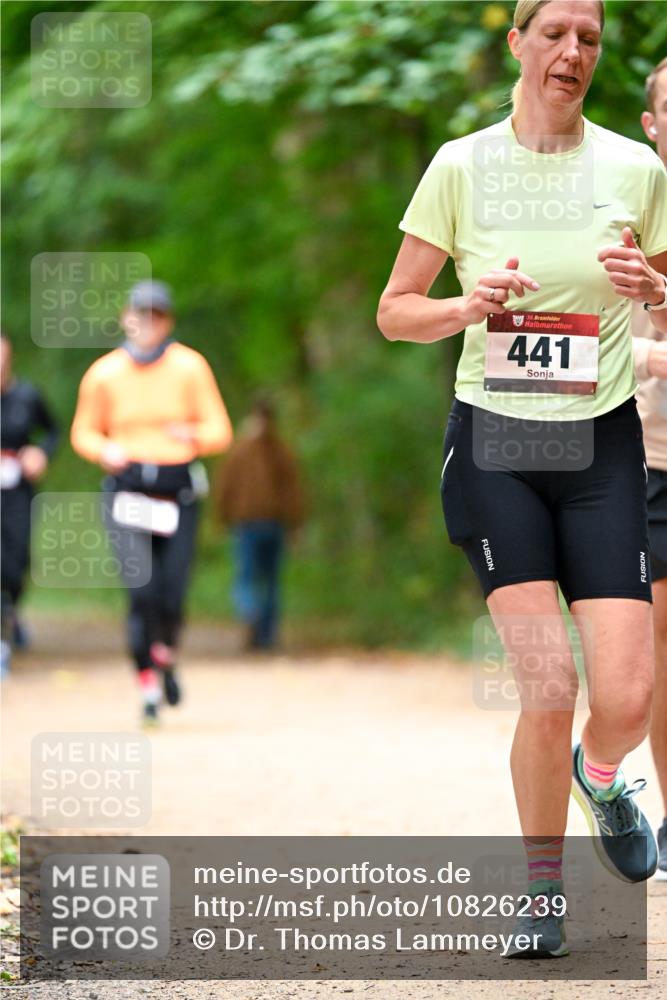 11.10.2026 - Bramfelder Halbmarathon 2026 Dr. Thomas Lammeyer http://msf.ph/oto/10826239 11.10.2026 10:54:14 Laufen 35, 441 meine-sportfotos.de