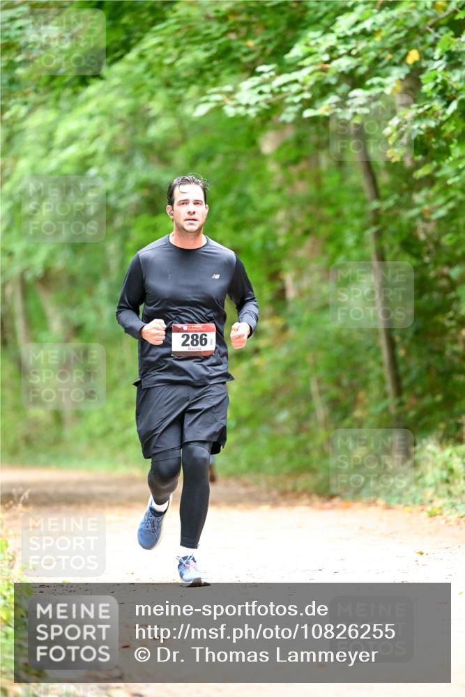 11.10.2026 - Bramfelder Halbmarathon 2026 Dr. Thomas Lammeyer http://msf.ph/oto/10826255 11.10.2026 10:54:18 Laufen 286 meine-sportfotos.de