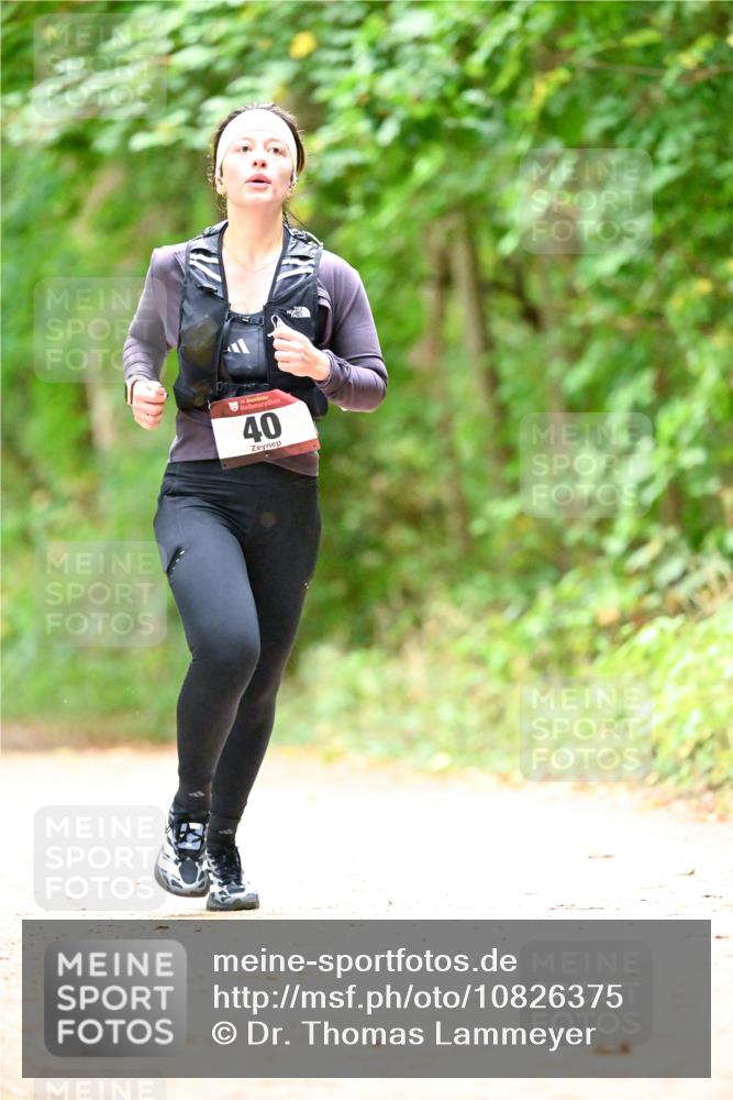 11.10.2026 - Bramfelder Halbmarathon 2026 Dr. Thomas Lammeyer http://msf.ph/oto/10826375 11.10.2026 10:55:27 Laufen 40 meine-sportfotos.de