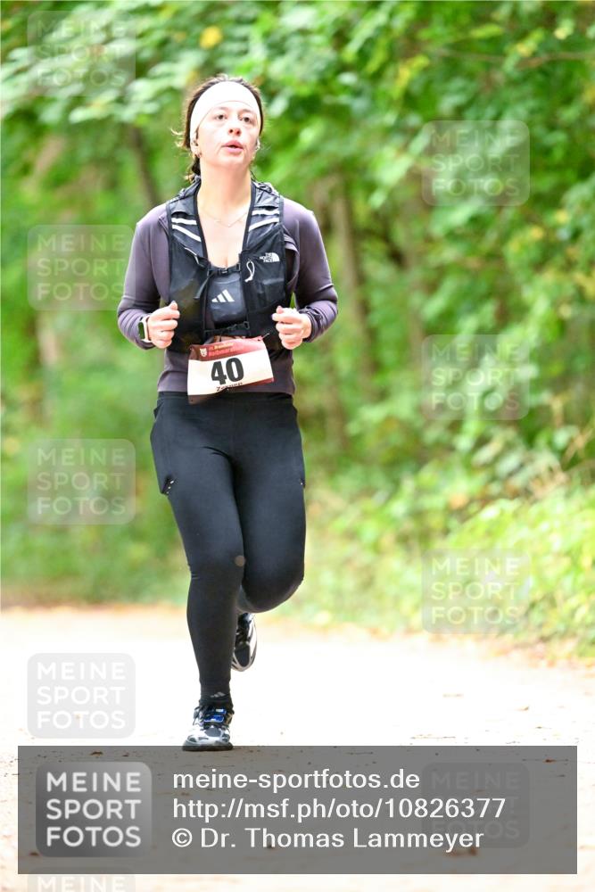 11.10.2026 - Bramfelder Halbmarathon 2026 Dr. Thomas Lammeyer http://msf.ph/oto/10826377 11.10.2026 10:55:27 Laufen 35, 40 meine-sportfotos.de