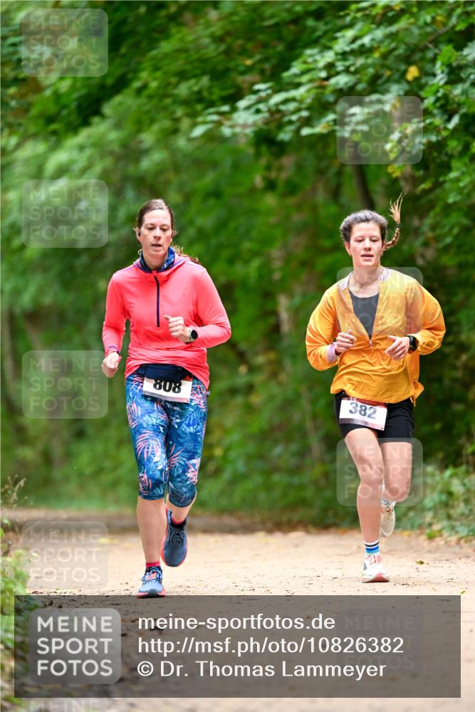 11.10.2026 - Bramfelder Halbmarathon 2026 Dr. Thomas Lammeyer http://msf.ph/oto/10826382 11.10.2026 10:55:32 Laufen 382, 808 meine-sportfotos.de