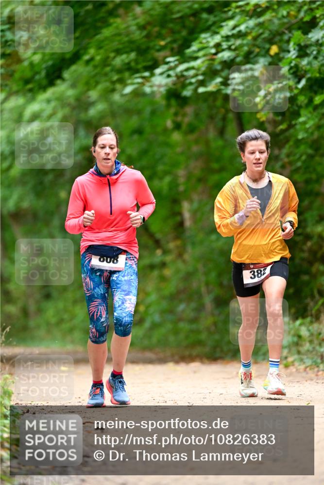 11.10.2026 - Bramfelder Halbmarathon 2026 Dr. Thomas Lammeyer http://msf.ph/oto/10826383 11.10.2026 10:55:32 Laufen 008, 382 meine-sportfotos.de