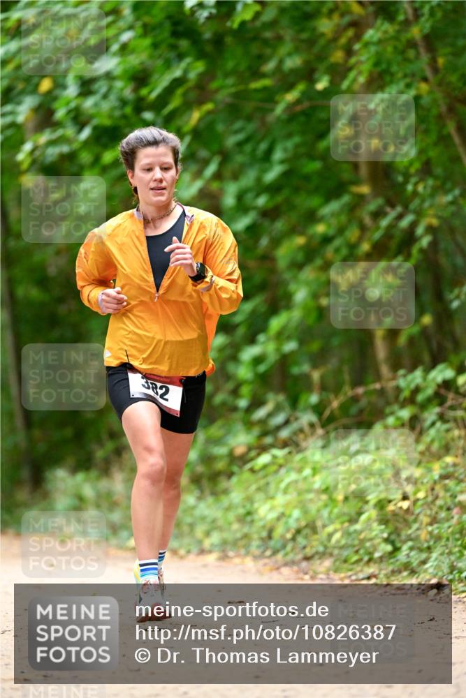 11.10.2026 - Bramfelder Halbmarathon 2026 Dr. Thomas Lammeyer http://msf.ph/oto/10826387 11.10.2026 10:55:33 Laufen 382 meine-sportfotos.de