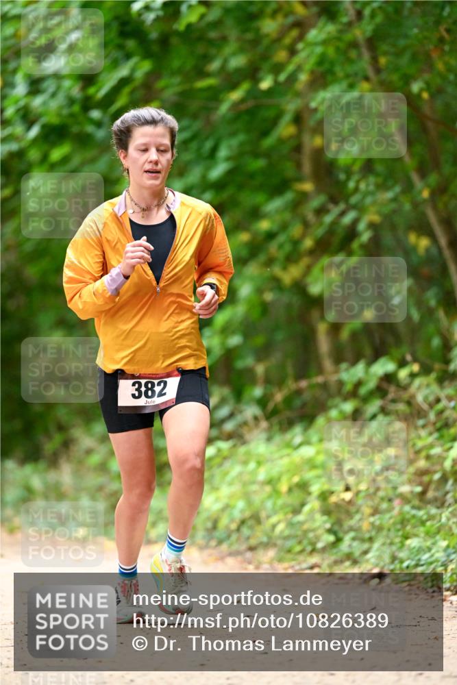 11.10.2026 - Bramfelder Halbmarathon 2026 Dr. Thomas Lammeyer http://msf.ph/oto/10826389 11.10.2026 10:55:33 Laufen 382 meine-sportfotos.de