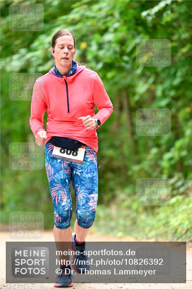 11.10.2026 - Bramfelder Halbmarathon 2026 Dr. Thomas Lammeyer http://msf.ph/oto/10826392 11.10.2026 10:55:34 Laufen 006 meine-sportfotos.de