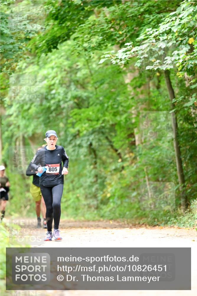 11.10.2026 - Bramfelder Halbmarathon 2026 Dr. Thomas Lammeyer http://msf.ph/oto/10826451 11.10.2026 10:56:20 Laufen 805 meine-sportfotos.de