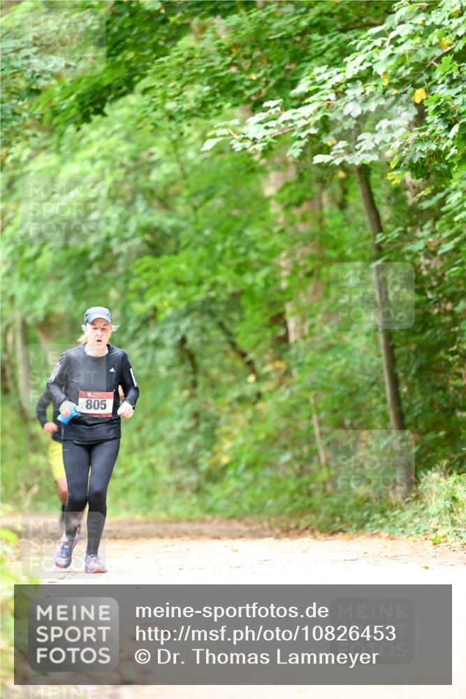 11.10.2026 - Bramfelder Halbmarathon 2026 Dr. Thomas Lammeyer http://msf.ph/oto/10826453 11.10.2026 10:56:21 Laufen 805 meine-sportfotos.de