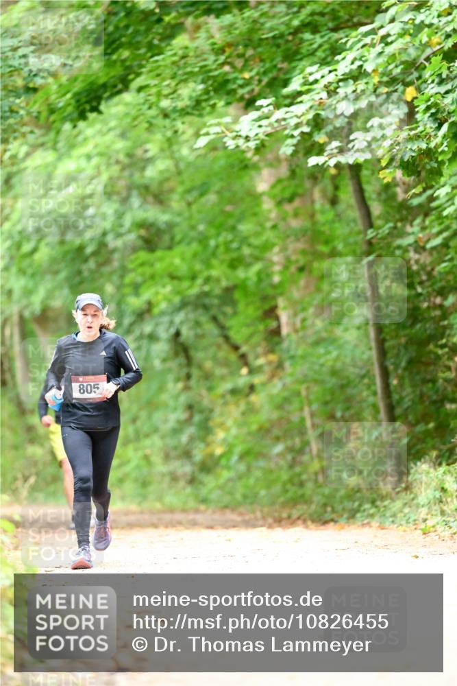 11.10.2026 - Bramfelder Halbmarathon 2026 Dr. Thomas Lammeyer http://msf.ph/oto/10826455 11.10.2026 10:56:21 Laufen 805 meine-sportfotos.de