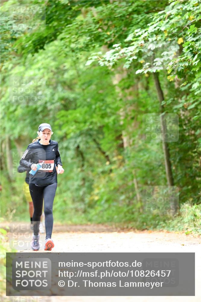 11.10.2026 - Bramfelder Halbmarathon 2026 Dr. Thomas Lammeyer http://msf.ph/oto/10826457 11.10.2026 10:56:21 Laufen 805 meine-sportfotos.de