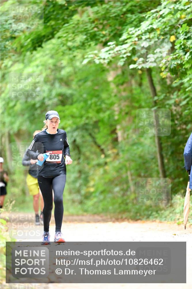 11.10.2026 - Bramfelder Halbmarathon 2026 Dr. Thomas Lammeyer http://msf.ph/oto/10826462 11.10.2026 10:56:22 Laufen 805 meine-sportfotos.de
