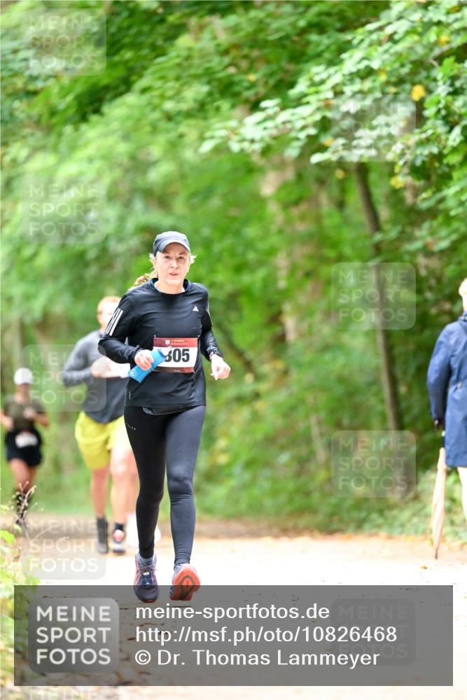11.10.2026 - Bramfelder Halbmarathon 2026 Dr. Thomas Lammeyer http://msf.ph/oto/10826468 11.10.2026 10:56:23 Laufen 305 meine-sportfotos.de