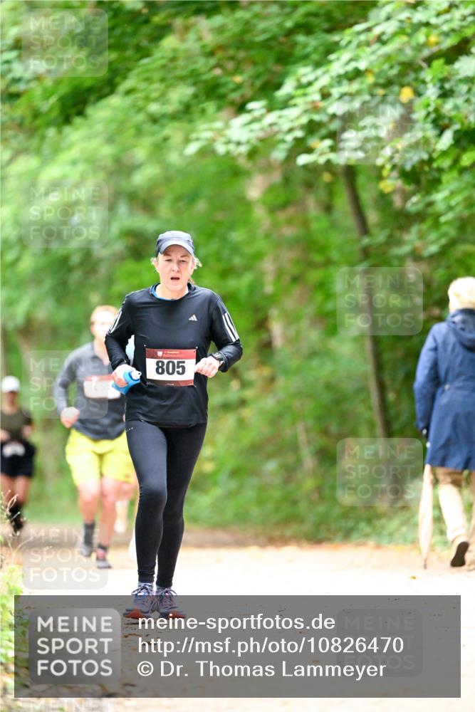 11.10.2026 - Bramfelder Halbmarathon 2026 Dr. Thomas Lammeyer http://msf.ph/oto/10826470 11.10.2026 10:56:23 Laufen 805 meine-sportfotos.de