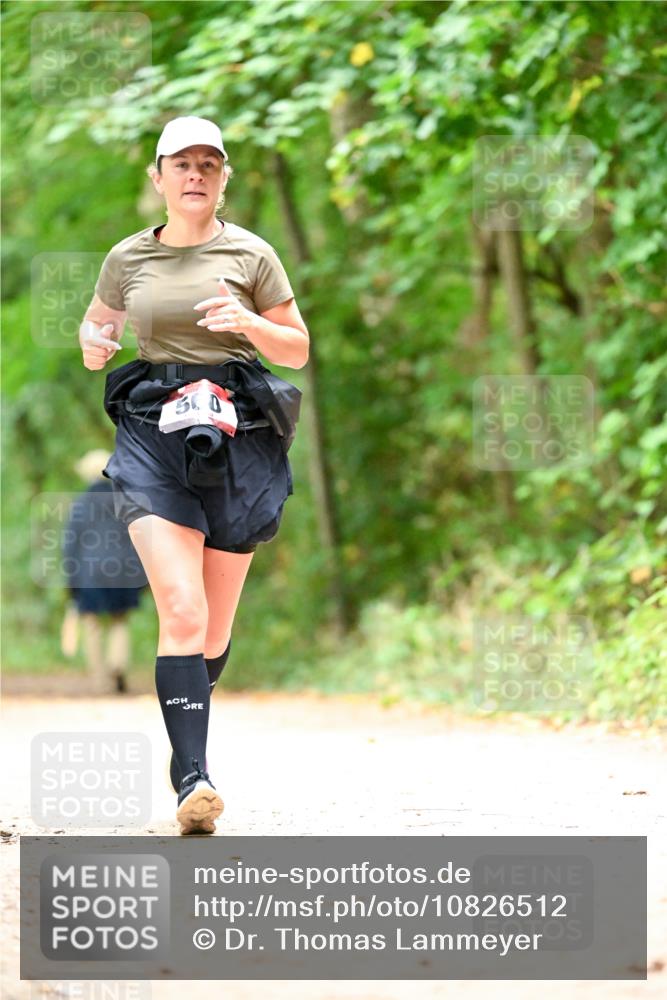 11.10.2026 - Bramfelder Halbmarathon 2026 Dr. Thomas Lammeyer http://msf.ph/oto/10826512 11.10.2026 10:56:33 Laufen 50 meine-sportfotos.de