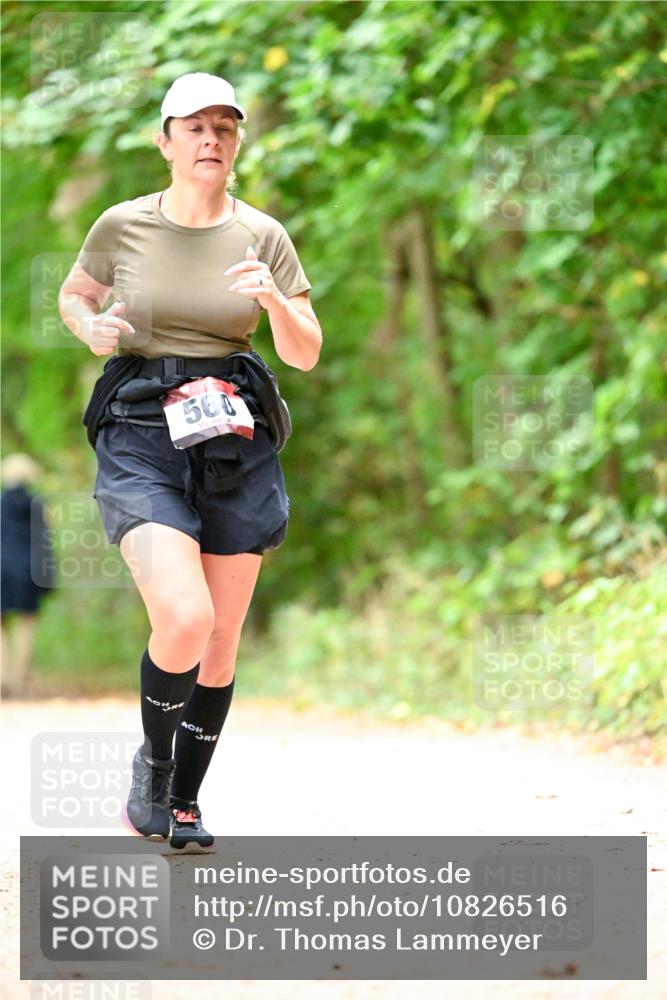 11.10.2026 - Bramfelder Halbmarathon 2026 Dr. Thomas Lammeyer http://msf.ph/oto/10826516 11.10.2026 10:56:34 Laufen 500 meine-sportfotos.de