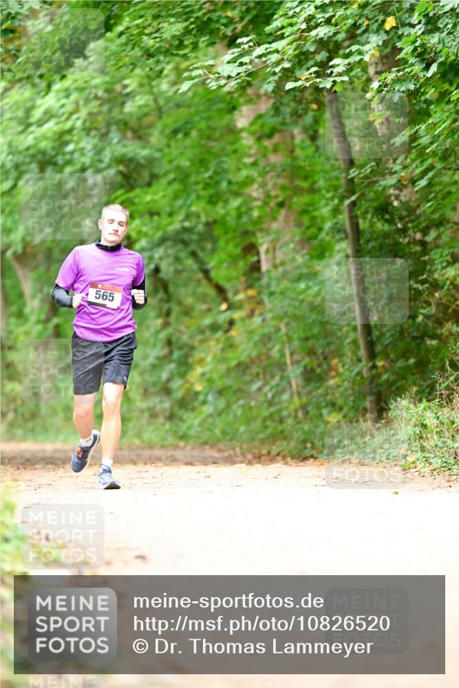 11.10.2026 - Bramfelder Halbmarathon 2026 Dr. Thomas Lammeyer http://msf.ph/oto/10826520 11.10.2026 10:56:58 Laufen 565 meine-sportfotos.de
