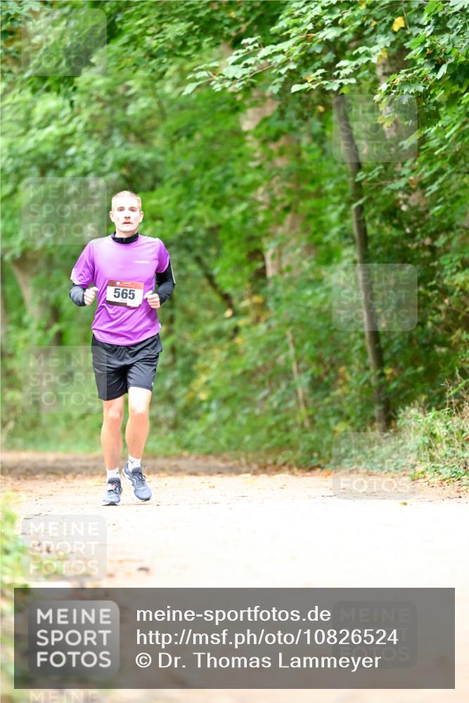 11.10.2026 - Bramfelder Halbmarathon 2026 Dr. Thomas Lammeyer http://msf.ph/oto/10826524 11.10.2026 10:56:59 Laufen 565 meine-sportfotos.de