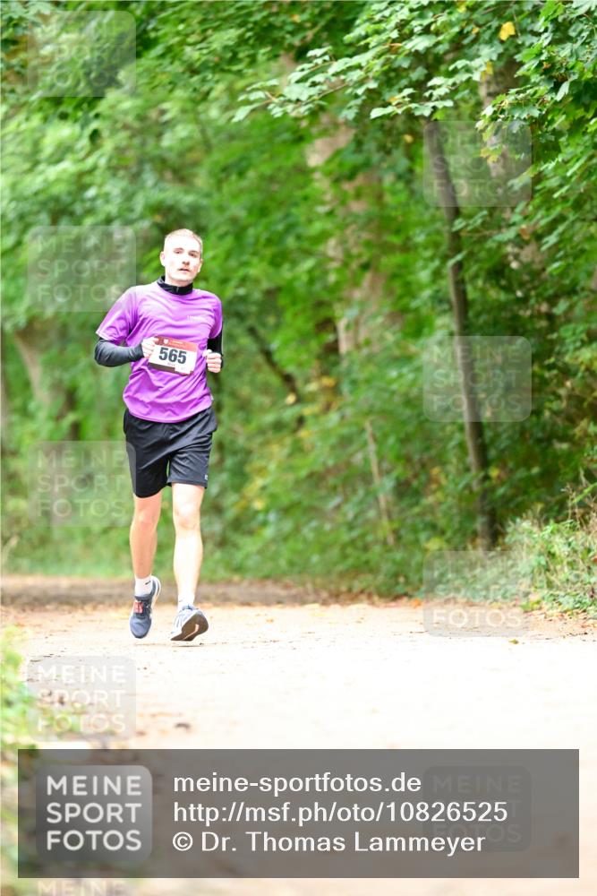 11.10.2026 - Bramfelder Halbmarathon 2026 Dr. Thomas Lammeyer http://msf.ph/oto/10826525 11.10.2026 10:56:59 Laufen 565 meine-sportfotos.de