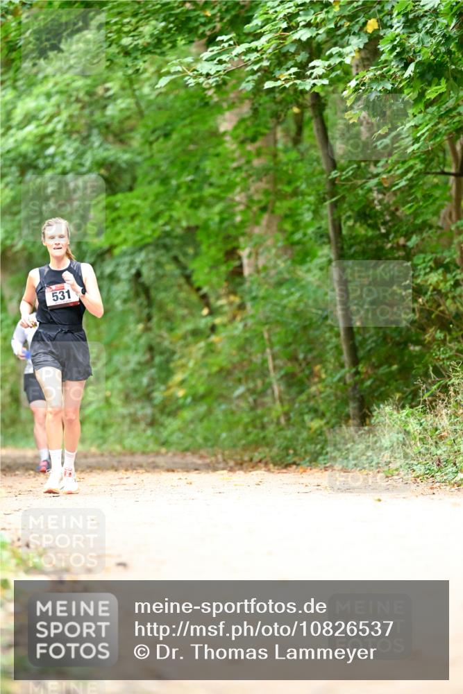 11.10.2026 - Bramfelder Halbmarathon 2026 Dr. Thomas Lammeyer http://msf.ph/oto/10826537 11.10.2026 10:57:16 Laufen 531 meine-sportfotos.de