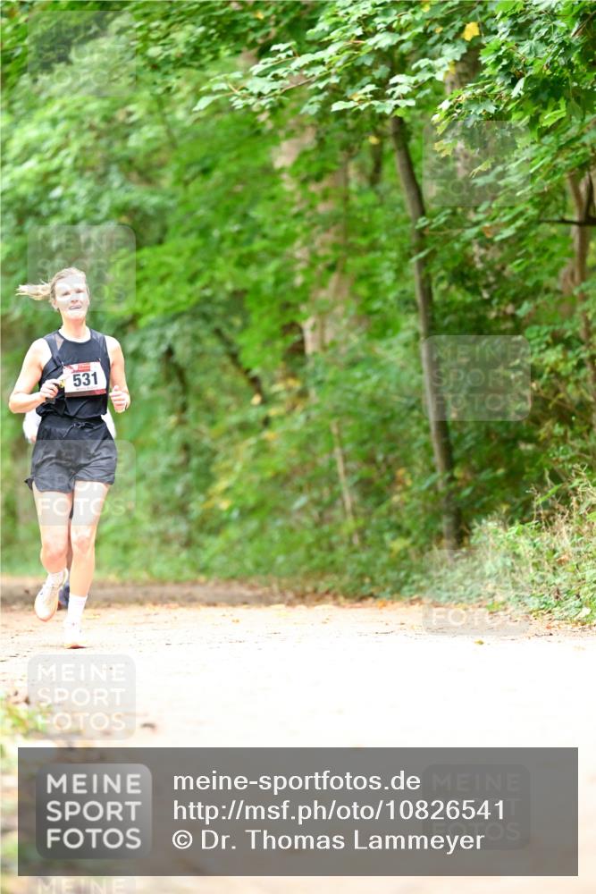 11.10.2026 - Bramfelder Halbmarathon 2026 Dr. Thomas Lammeyer http://msf.ph/oto/10826541 11.10.2026 10:57:16 Laufen 531 meine-sportfotos.de