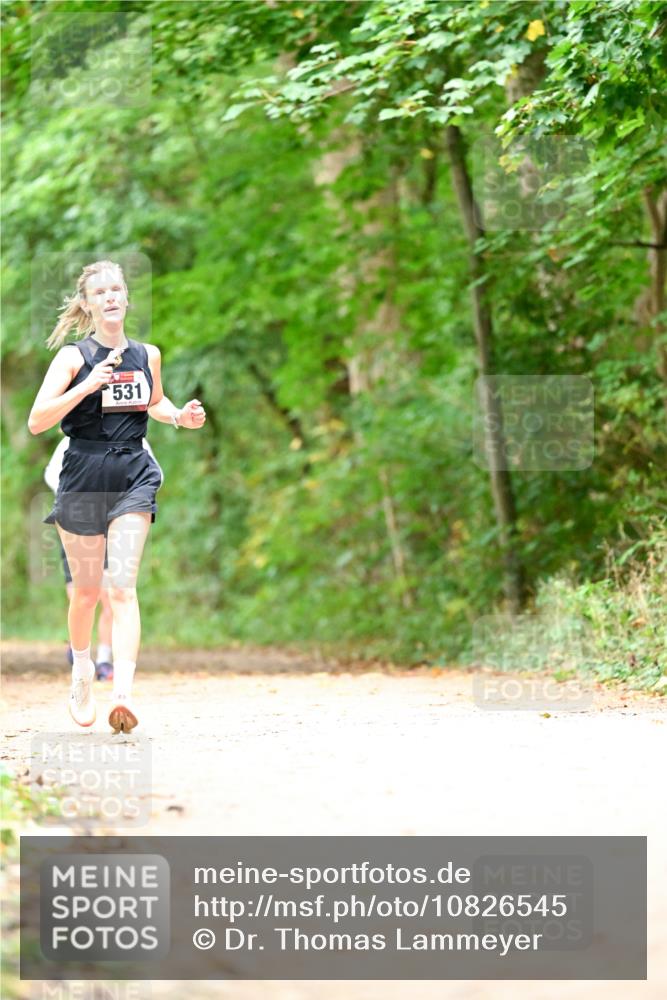 11.10.2026 - Bramfelder Halbmarathon 2026 Dr. Thomas Lammeyer http://msf.ph/oto/10826545 11.10.2026 10:57:17 Laufen 531 meine-sportfotos.de