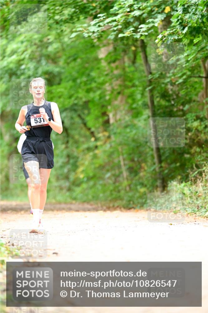 11.10.2026 - Bramfelder Halbmarathon 2026 Dr. Thomas Lammeyer http://msf.ph/oto/10826547 11.10.2026 10:57:17 Laufen 531 meine-sportfotos.de