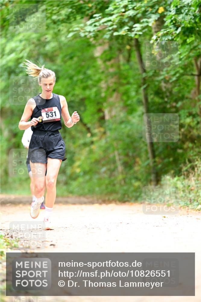 11.10.2026 - Bramfelder Halbmarathon 2026 Dr. Thomas Lammeyer http://msf.ph/oto/10826551 11.10.2026 10:57:17 Laufen 531 meine-sportfotos.de