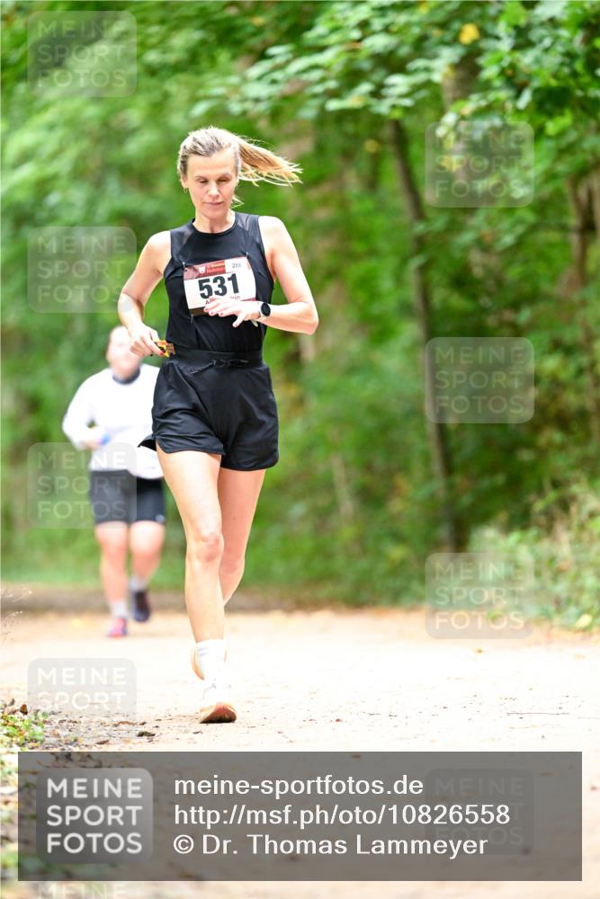 11.10.2026 - Bramfelder Halbmarathon 2026 Dr. Thomas Lammeyer http://msf.ph/oto/10826558 11.10.2026 10:57:18 Laufen 289, 531 meine-sportfotos.de