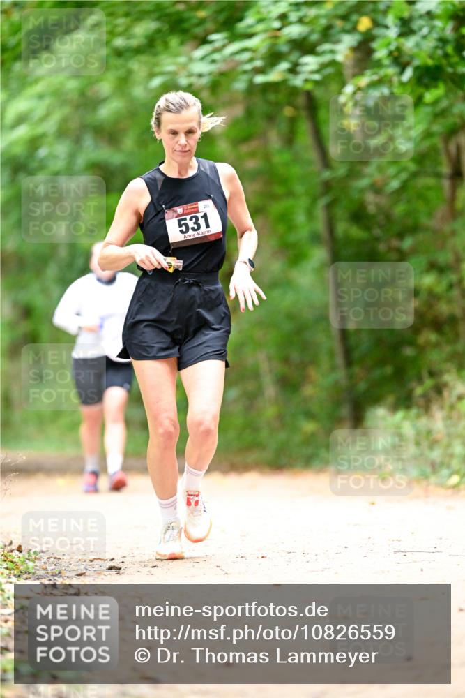 11.10.2026 - Bramfelder Halbmarathon 2026 Dr. Thomas Lammeyer http://msf.ph/oto/10826559 11.10.2026 10:57:19 Laufen 531 meine-sportfotos.de