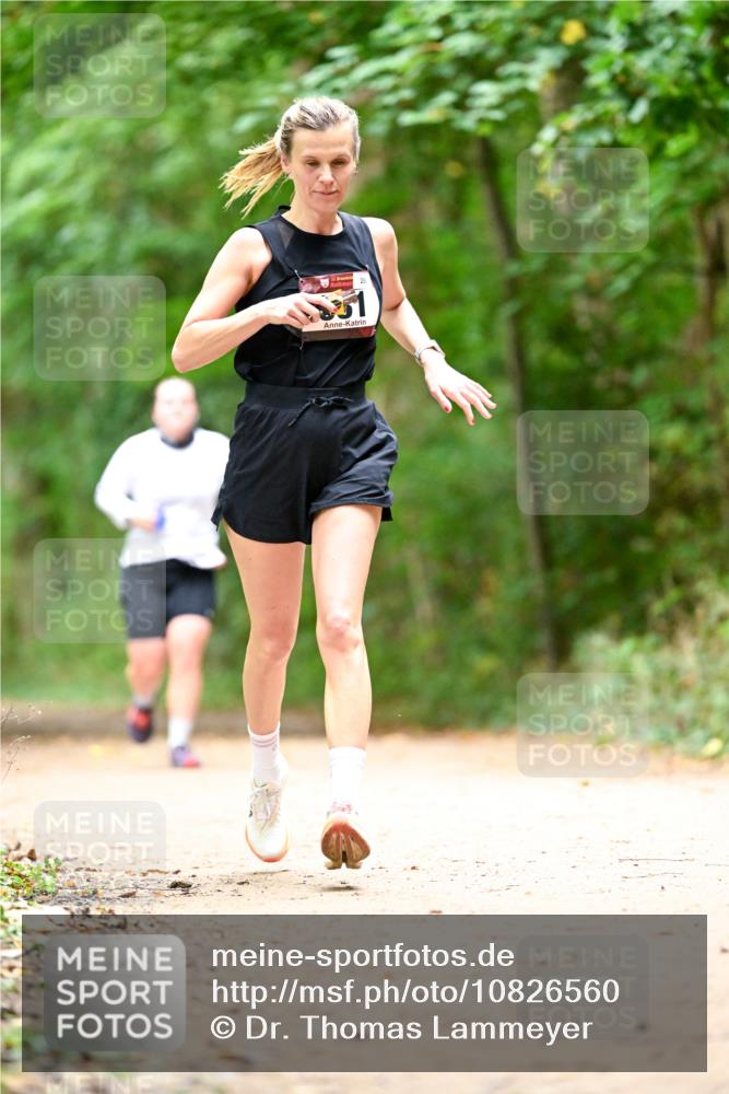 11.10.2026 - Bramfelder Halbmarathon 2026 Dr. Thomas Lammeyer http://msf.ph/oto/10826560 11.10.2026 10:57:19 Laufen 1 meine-sportfotos.de