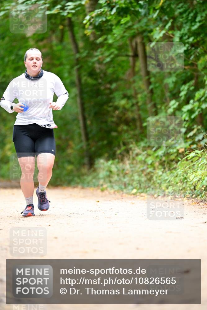 11.10.2026 - Bramfelder Halbmarathon 2026 Dr. Thomas Lammeyer http://msf.ph/oto/10826565 11.10.2026 10:57:22 Laufen  meine-sportfotos.de