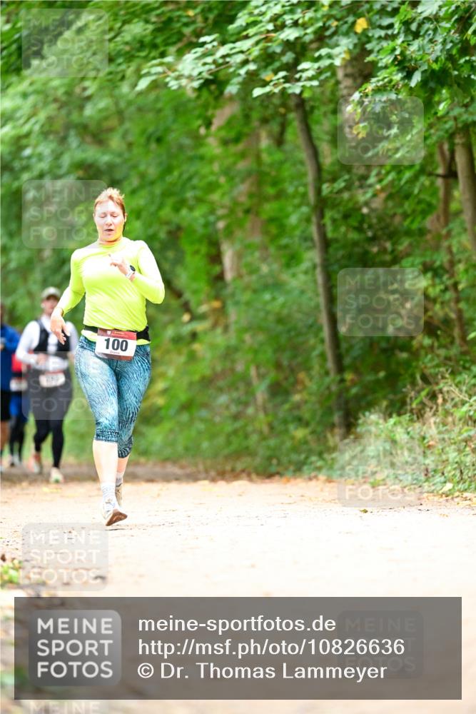 11.10.2026 - Bramfelder Halbmarathon 2026 Dr. Thomas Lammeyer http://msf.ph/oto/10826636 11.10.2026 10:57:53 Laufen 100 meine-sportfotos.de