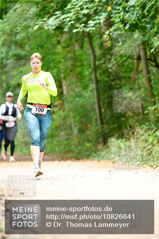 11.10.2026 - Bramfelder Halbmarathon 2026 Dr. Thomas Lammeyer http://msf.ph/oto/10826641 11.10.2026 10:57:53 Laufen 100 meine-sportfotos.de