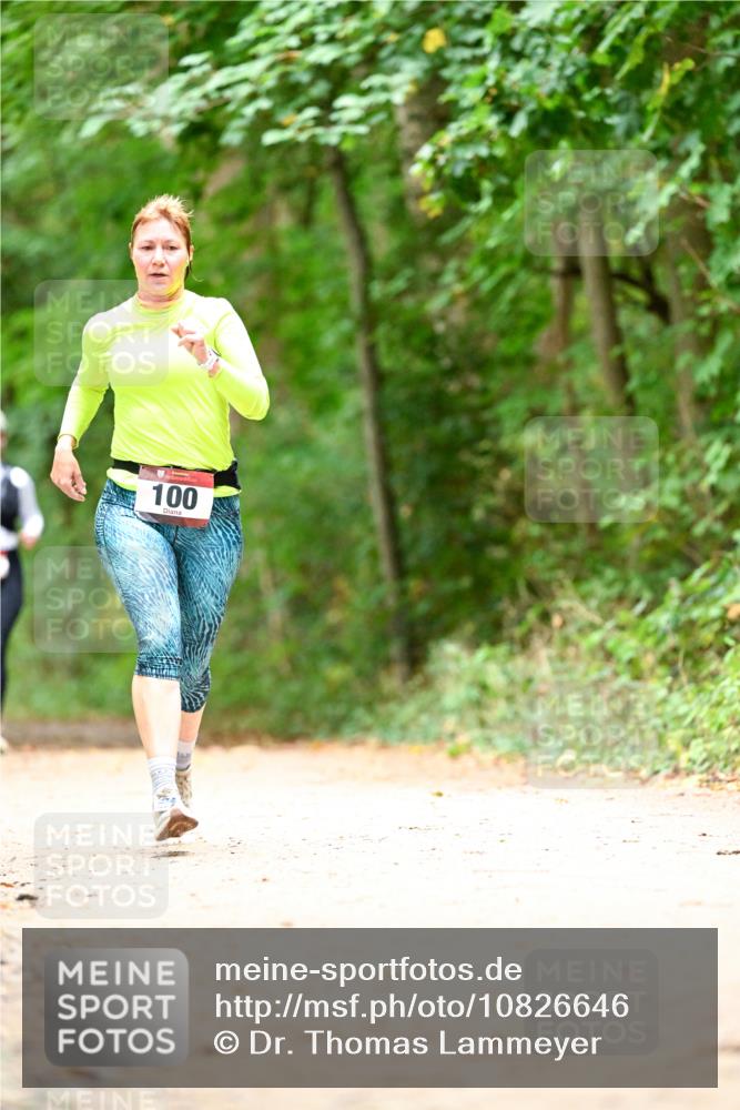 11.10.2026 - Bramfelder Halbmarathon 2026 Dr. Thomas Lammeyer http://msf.ph/oto/10826646 11.10.2026 10:57:54 Laufen 100 meine-sportfotos.de