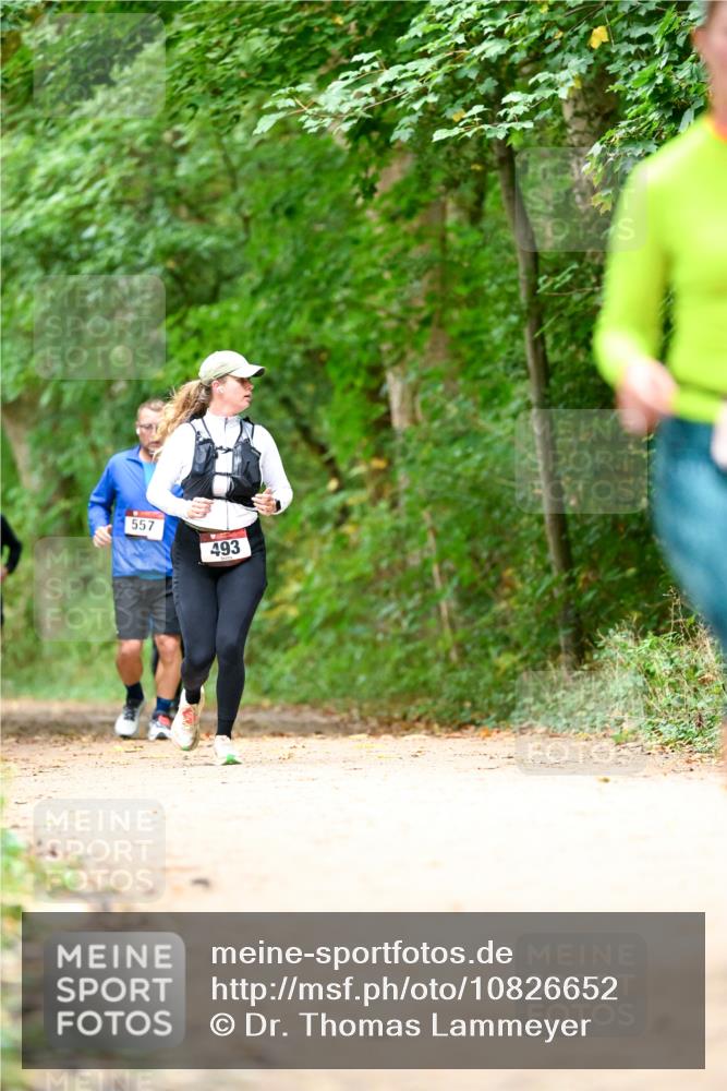 11.10.2026 - Bramfelder Halbmarathon 2026 Dr. Thomas Lammeyer http://msf.ph/oto/10826652 11.10.2026 10:57:56 Laufen 557, 493 meine-sportfotos.de