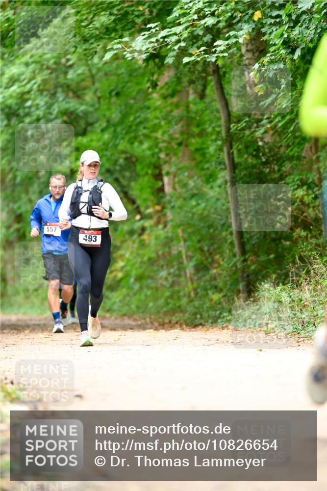 11.10.2026 - Bramfelder Halbmarathon 2026 Dr. Thomas Lammeyer http://msf.ph/oto/10826654 11.10.2026 10:57:56 Laufen 557, 493 meine-sportfotos.de