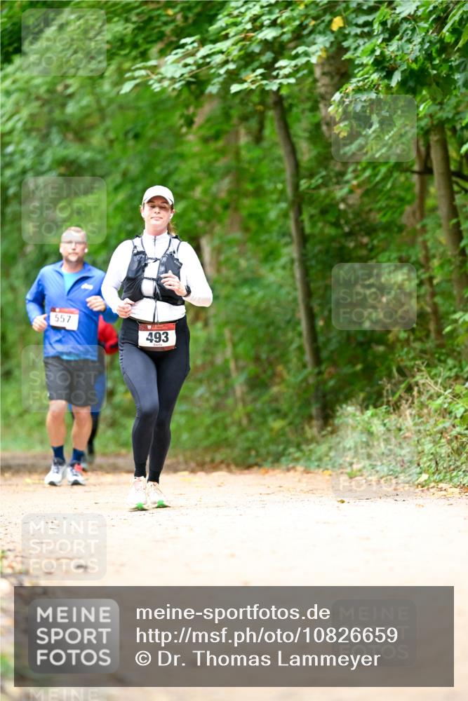 11.10.2026 - Bramfelder Halbmarathon 2026 Dr. Thomas Lammeyer http://msf.ph/oto/10826659 11.10.2026 10:57:58 Laufen 557, 493 meine-sportfotos.de